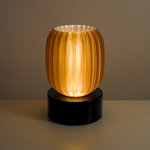 steiraFORM Akkulampe